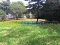 Location Villa Alger El biar