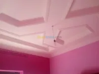 placo platre  penture  BA13 