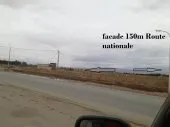 Vente Terrain Agricole Biskra Sidi okba
