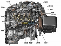 skikda-algerie-réparation-auto-diagnostic-suppression-fap-egr-dtc-adblue-sonde-0