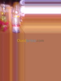 msila-maadid-algerie-médecine-santé-علاج-العقم-عند-الرجال-ونساء