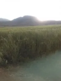 reconstruction , ménagement 