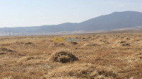 terrain-agricole-vente-batna-seriana-algerie