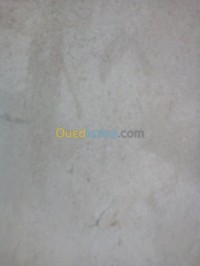 بسكرة-فوغالة-الجزائر-طب-و-صحة-مساعد-حيوانية
