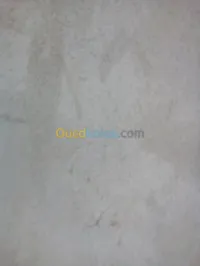 مساعد صحة حيوانية
