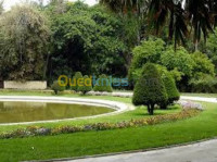 nettoyage-jardinage-amenagement-des-espaces-verts-alger-centre-algerie