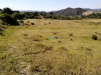 Vente Terrain Boumerdes Ammal
