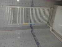 الجزائر-درارية-بناء-و-أشغال-plomberie