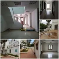 Location Immeuble Alger Said hamdine