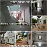 Location Immeuble Alger Said hamdine