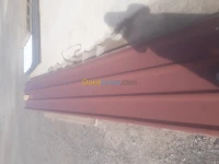 ZANG (Tn40 )