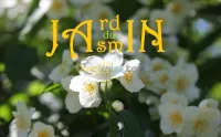 Crèche Jardin du Jasmin 