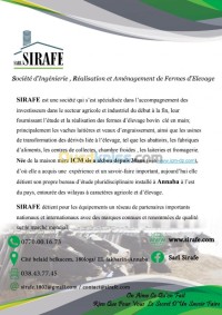 عنابة-الجزائر-بناء-و-أشغال-construction
