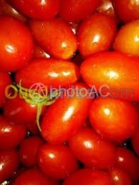 الجزائر-أولاد-فايت-توريد-الطعام-و-حلويات-توزيع-طماطم-بطاطا-بمطاعم-اكل-خفيف