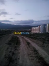 Vente Terrain Batna Batna