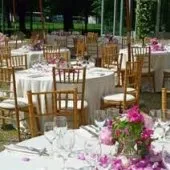 location  table chese