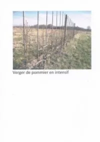 TAILLE D'ARBRES FRUITIERS.