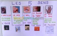 blida-algerie-ecoles-formations-cours-de-soutien-français