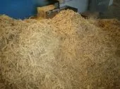 Fabrication de sciure de bois 