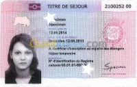 Visa D + Résidence en Europe