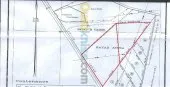 Vente Terrain Tebessa Bekkaria 