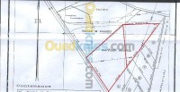 تبسة-بكارية-الجزائر-أرض-vente-terrain-tebessa-bekkaria&nbsp;