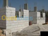 alger-les-eucalyptus-algerie-construction-travaux-بناء
