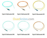 reseau-connexion-pigtail-fibre-optique-sm-et-mm-dar-el-beida-alger-algerie