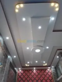 Placoplatre / penture /electricitè