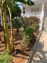 Vente Villa Alger Hydra