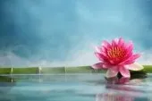Infogarphe - designer