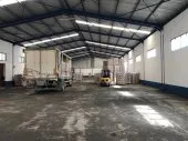 Location Hangar Alger Les eucalyptus