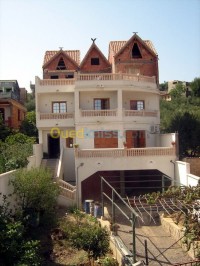 الجزائر-وسط-بناء-و-أشغال-construction