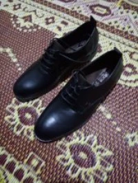 Chaussure homme 