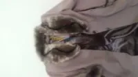 Manteaux 