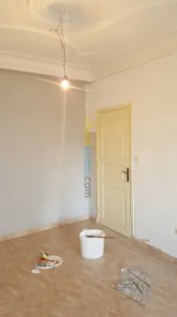 Peintre professionnel