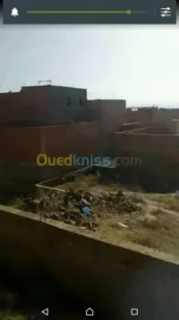 Vente Terrain Tlemcen Maghnia