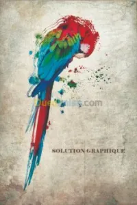 Conceptions graphiques