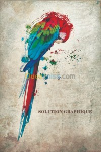 الجزائر-سعيد-حمدين-إشهار-و-اتصال-conceptions-graphiques