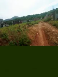Vente Terrain Tipaza Sidi amar