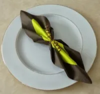 Décoration des serviettes en papier 