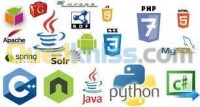 تيزي-وزو-الجزائر-مدارس-و-تكوين-langage-informatique