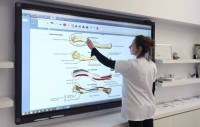 ecrans-plats-tableau-interactif-salle-formation-mohammadia-alger-algerie