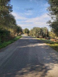 أرض-بيع-تيزي-وزو-الجزائر