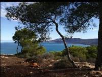 villa-vente-oran-algerie