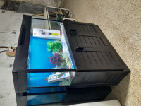 decoration-amenagement-aquarium-avec-meuble-en-bois-rouge-bordj-el-bahri-alger-algerie
