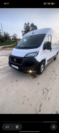 utilitaire-fiat-ducato-2023-terrai-bainem-mila-algerie