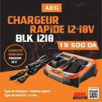 AEG Chargeur de batterie 12-18V Twin Rapid Charger