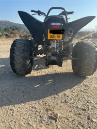 VMS RPT 2024