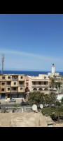 appartement-location-f3-alger-hammamet-algerie